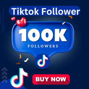 Non Drop tiktok follower